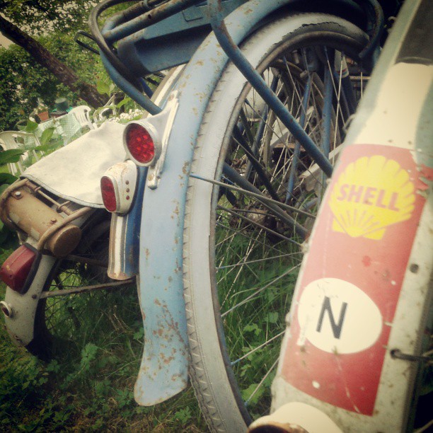 Old bikes in the garden