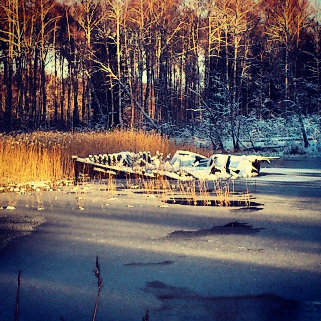 Old ship wreck.