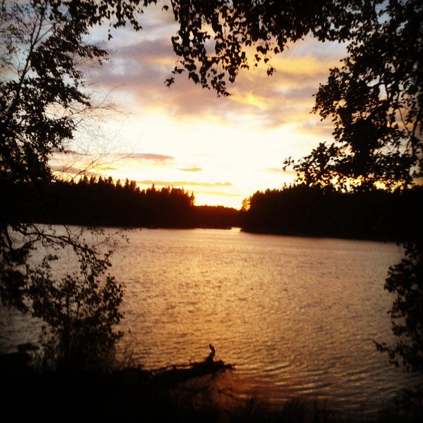 Swedish sunset